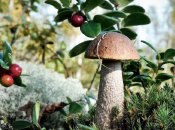 Це зовсім нескладно, якщо знати нюанси