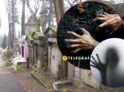 Лычаковское кладбище