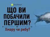 Что вы видите?