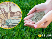 Ілюстрація