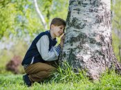 Деревья и кустарники нужно посыпать натуральными компонентами