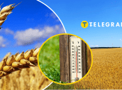 Погода в Украине