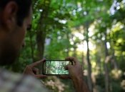 Телефон может перегреться в жару