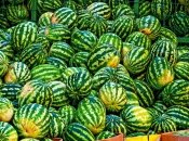 Херсонские арбузы