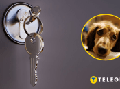 Під замком опинилась матір з цуценям