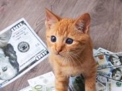 Овны, Близнецы и Раки разбогатеют к Новому году