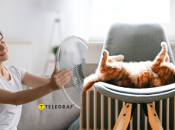 Почему вентилятор не охлаждает