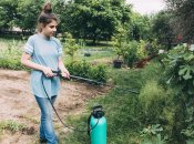 Весной сад требует особого ухода