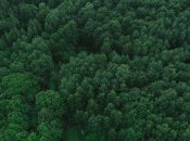 Ілюстрація