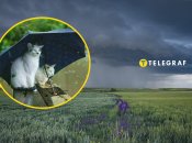 Погода в Україні