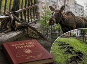 Лось намагався протаранити паркан