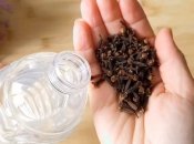 Гвоздика та оцет відмінно виганяють комах