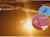 В Україні зникає рідкісний сапсан