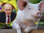 Владимир Путин и "подсвинок"