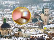 Зимний город Льва