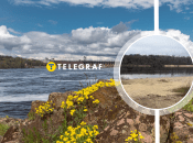 Вода піднімається у Запорізькій області