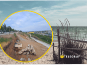 Окупований Бердянськ, Запорізька область