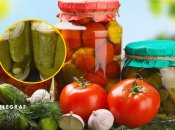 Домашня консервація