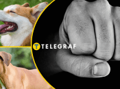 Иллюстративное фото