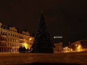 Пока на елке нет никаких украшений кроме герба