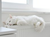 Утеплення житла: що обов’язково треба зробити до настання холодів