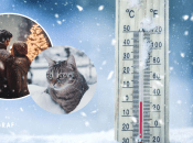 Погода взимку