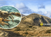 На горі Говерла свиснув рак