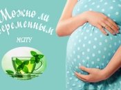 Мята при беременности: можно ли беременным пить чай с мятой