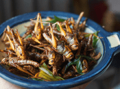 Крылья и ножки – более жесткая часть саранчи