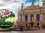 Погода в Україні