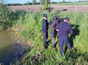 Поисковая операция