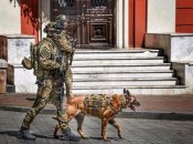 © twitter.com/dmitrosel007