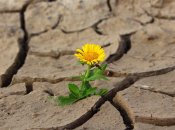 Українцям доведеться звикати до різких змін погоди