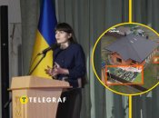 Яна Салміна