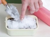 Рассада порадует здоровыми всходами