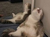 Пришло время отдохнуть для Близнецов