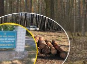 Парк "Білоозерський" й надалі буде у підпорядкуванні Держуправління справами. Фото Колаж "Телеграфа"