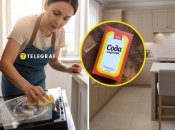 Лайхак, который поможет справится с жиром на дверце духовки