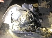 На предприятие в Шостке, вероятно, прилетела ракета россиян