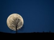 Полнолуние 25 января называется "волчьей Луной"