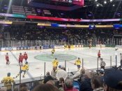 На матчі Угорщина — Швеція стався інцидент із любителем рф