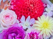 Поздравление лучшей подруге