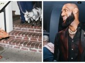 Леброн Джеймс отпраздновал рекорд с козлами: животных привели на вечеринку баскетболиста (видео)