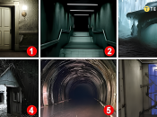 Вони покажуть, що вас найбільше лякає в житті