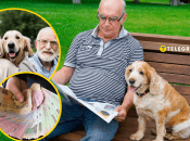 Благодаря любимцам можно пополнить бюджет