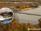 Погода в Україні