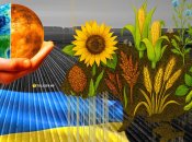 На полях частіше зустрічаються бобові, льон, гречка та конопля. Фото Колаж "Телеграфа"