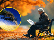 Вітряна погода