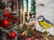 Народные приметы про Новый год