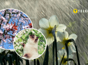 Кінець другого місяця весни не буде теплим